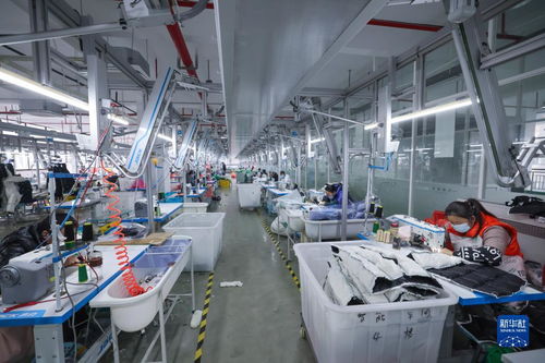 湖州童裝之都 以輔料制造為基石，從“做產品”到“創品牌”的產業升級之路